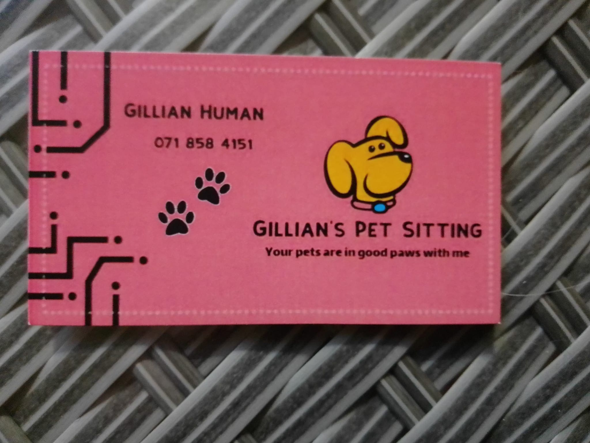 Gillian’s Pet Sitting