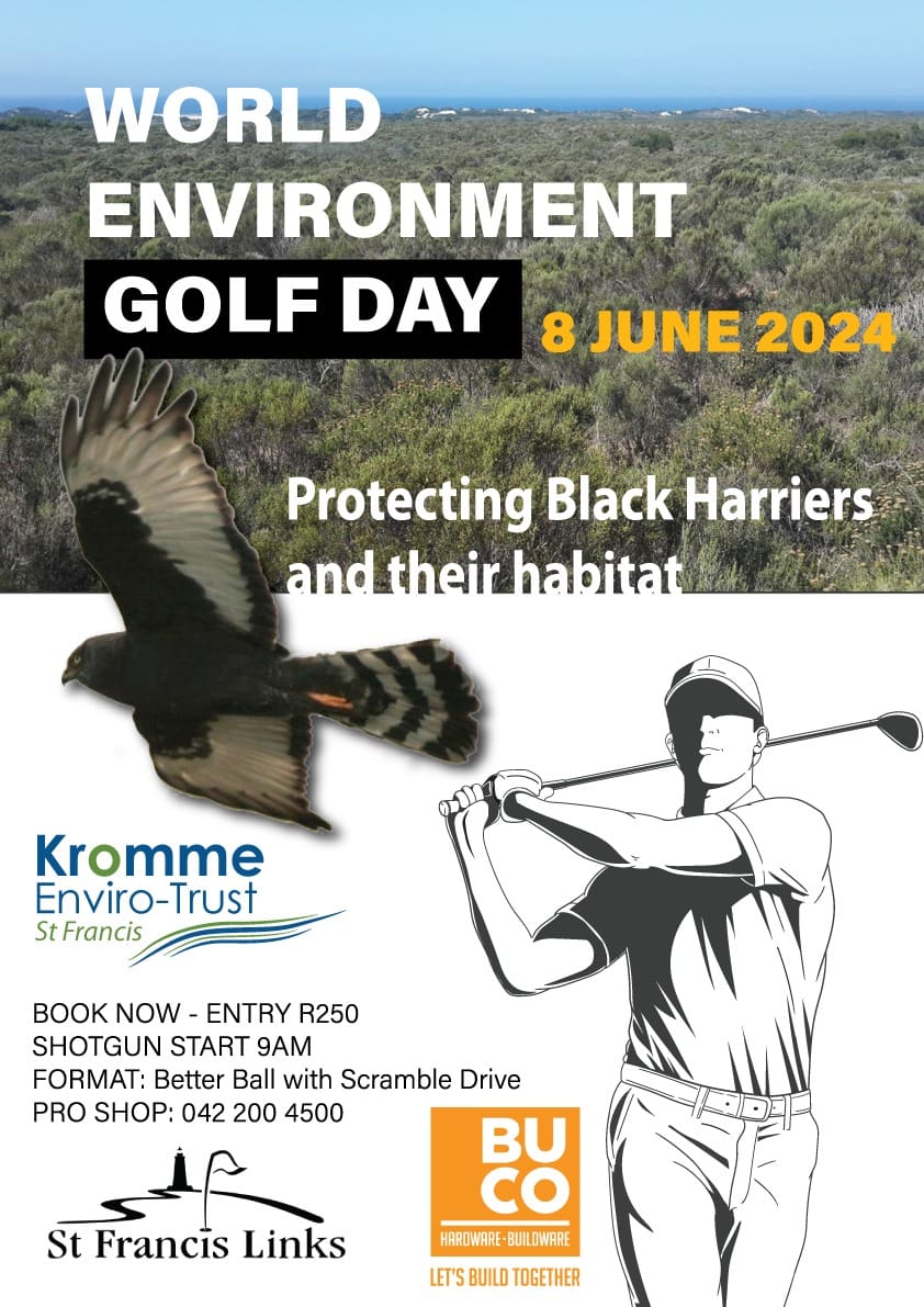 Wordl Environment Golf Day
